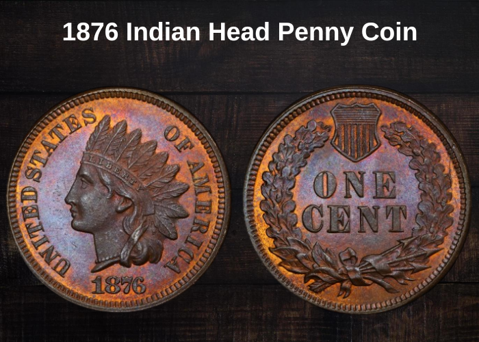 1876 Indian Head Penny Coin Value (Errors List & No Mint Mark Worth)