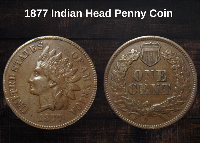 1877 Indian Head Penny Coin Value (Errors List & No Mint Mark Worth)