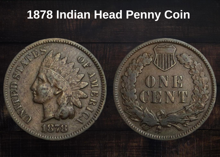 1878 Indian Head Penny Coin Value (Errors List & No Mint Mark Worth)