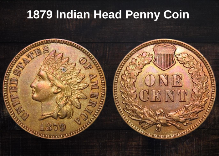 1879 Indian Head Penny Coin Value (Errors List & No Mint Mark Worth)