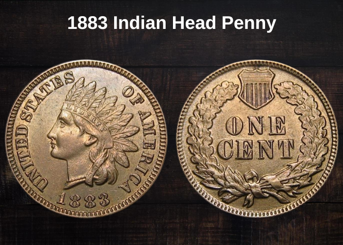 1883 Indian Head Penny Value (Error List & No Mint Mark Worth)