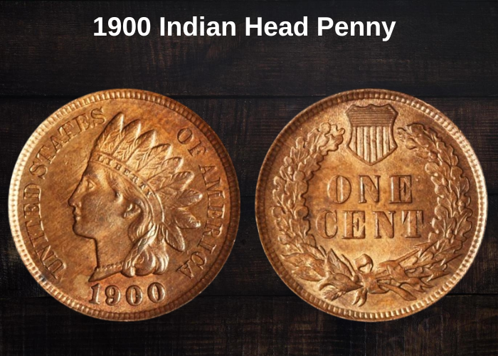 1900 Indian Head Penny Value (Error List & No Mint Mark Worth)