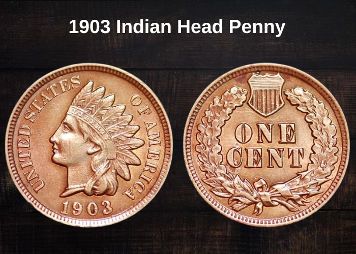 1903 Indian Head Penny Value (Error List & No Mint Mark Worth)