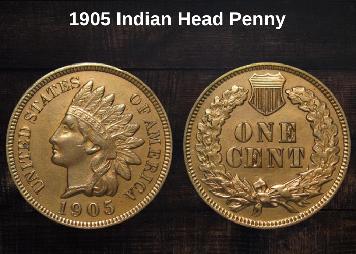 1905 Indian Head Penny Value (Error List & No Mint Mark Worth)