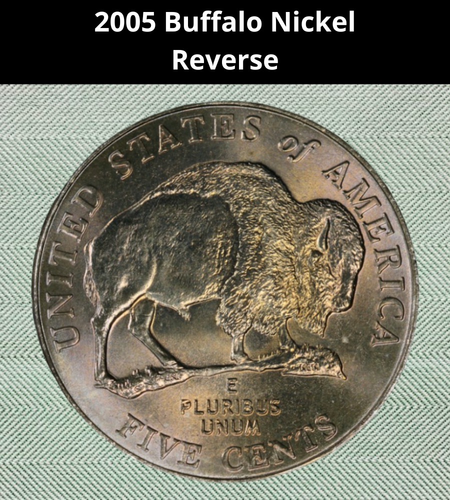 2005 Buffalo Nickel
Obverse