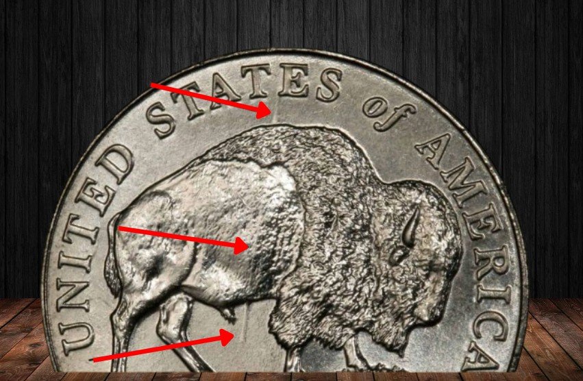 1. Speared Bison