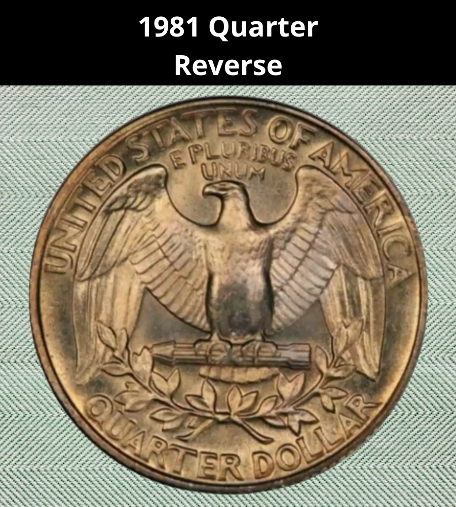 The Reverse of the 1981 Quarter