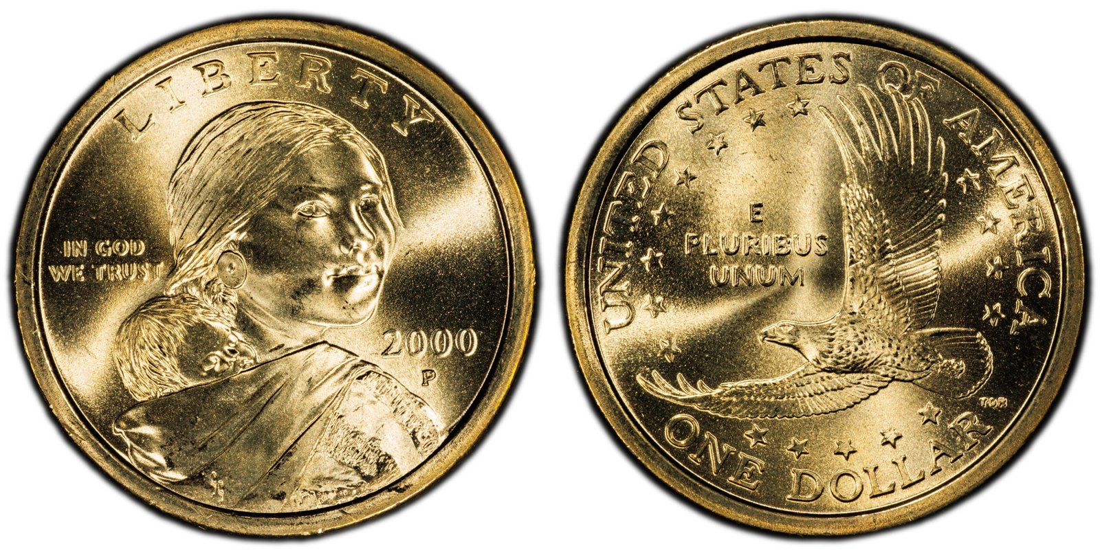 One Dollar Coin 2000 P Wounded Eagle